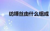 纺缍丝由什么组成（纺丝是干什么的）