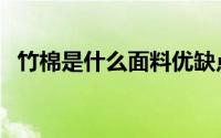 竹棉是什么面料优缺点（竹棉是什么面料）