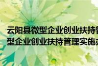 云阳县微型企业创业扶持管理实施办法 试行（关于云阳县微型企业创业扶持管理实施办法 试行的简介）