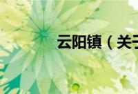 云阳镇（关于云阳镇的简介）