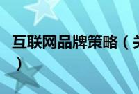互联网品牌策略（关于互联网品牌策略的简介）