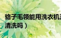貉子毛领能用洗衣机洗吗（貉子毛领可以用水清洗吗）