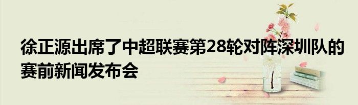 徐正源出席了中超联赛第28轮对阵深圳队的赛前新闻发布会