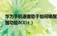 华为手机语音助手如何唤醒（iQOO12Pro在哪打开语音唤醒功能