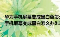 华为手机屏幕变成黑白色怎么恢复彩色没有开发人员（华为手机屏幕变成黑白怎么办