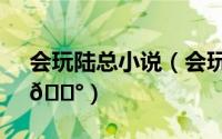 会玩陆总小说（会玩app游戏房间在哪创建