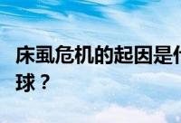 床虱危机的起因是什么？床虱危机为何席卷全球？