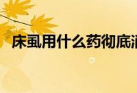 床虱用什么药彻底消灭？五种特效药介绍！