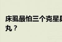 床虱最怕三个克星具体是哪三个？怕不怕樟脑丸？
