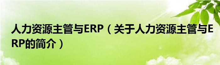 人力资源主管与ERP（关于人力资源主管与ERP的简介）