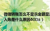 微信转账怎么不显示金额显示你无需收款（微信支付显示待入账是什么原因