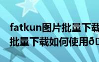 fatkun图片批量下载插件谷歌（Fatkun图片批量下载如何使用