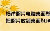 杨洋照片电脑桌面壁纸（widgetsmith怎么把照片放到桌面