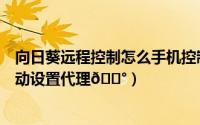 向日葵远程控制怎么手机控制电脑（向日葵远程控制怎么手动设置代理