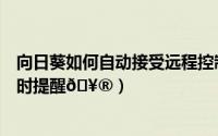 向日葵如何自动接受远程控制（向日葵如何开启本机被远控时提醒