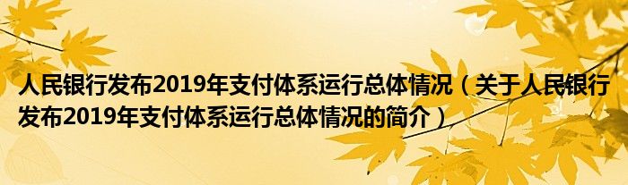 人民银行发布2019年支付体系运行总体情况（关于人民银行发布2019年支付体系运行总体情况的简介）