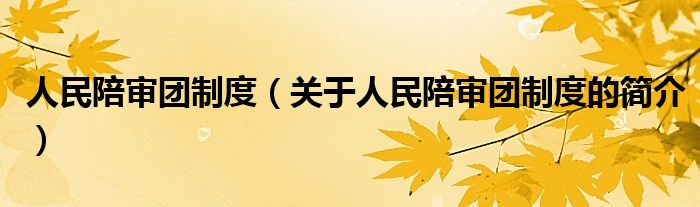 人民陪审团制度（关于人民陪审团制度的简介）