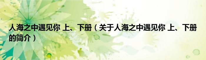 人海之中遇见你 上、下册（关于人海之中遇见你 上、下册的简介）