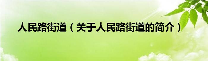 人民路街道（关于人民路街道的简介）