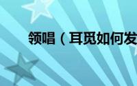 领唱（耳觅如何发布领唱歌曲