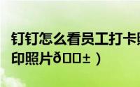 钉钉怎么看员工打卡照片（钉钉怎么拍打卡水印照片
