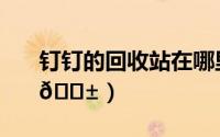 钉钉的回收站在哪里（钉钉回收站在哪找