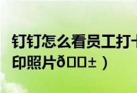 钉钉怎么看员工打卡照片（钉钉怎么拍打卡水印照片