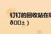 钉钉的回收站在哪里（钉钉回收站在哪找