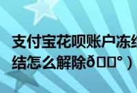 支付宝花呗账户冻结怎么解除（支付宝花呗冻结怎么解除
