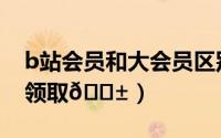 b站会员和大会员区别（b站闪光会员奖怎么领取