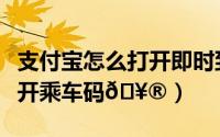 支付宝怎么打开即时到账功能（支付宝怎么打开乘车码