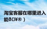 淘宝客服在哪里进入（淘宝怎么进入试衣间功能