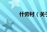 什旁村（关于什旁村的简介）