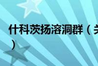 什科茨扬溶洞群（关于什科茨扬溶洞群的简介）