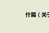 什篇（关于什篇的简介）