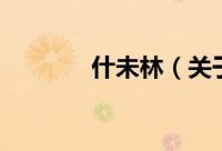什未林（关于什未林的简介）