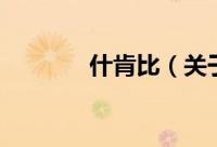 什肯比（关于什肯比的简介）