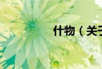什物（关于什物的简介）