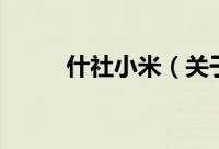 什社小米（关于什社小米的简介）