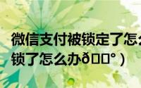 微信支付被锁定了怎么解锁（微信支付功能被锁了怎么办