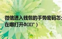 微信进入钱包的手势密码怎么设置（微信钱包手势密码解锁在哪打开