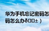 华为手机忘记密码怎么办?（华为手机忘记密码怎么办