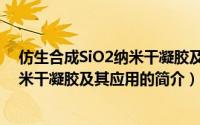 仿生合成SiO2纳米干凝胶及其应用（关于仿生合成SiO2纳米干凝胶及其应用的简介）