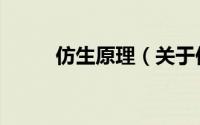 仿生原理（关于仿生原理的简介）