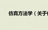 仿真方法学（关于仿真方法学的简介）