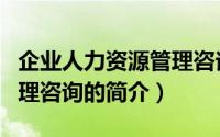 企业人力资源管理咨询（关于企业人力资源管理咨询的简介）