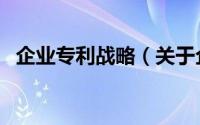 企业专利战略（关于企业专利战略的简介）