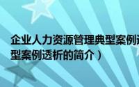 企业人力资源管理典型案例透析（关于企业人力资源管理典型案例透析的简介）