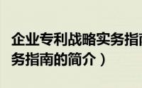 企业专利战略实务指南（关于企业专利战略实务指南的简介）