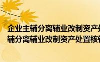 企业主辅分离辅业改制资产处置核销操作指引（关于企业主辅分离辅业改制资产处置核销操作指引的简介）
